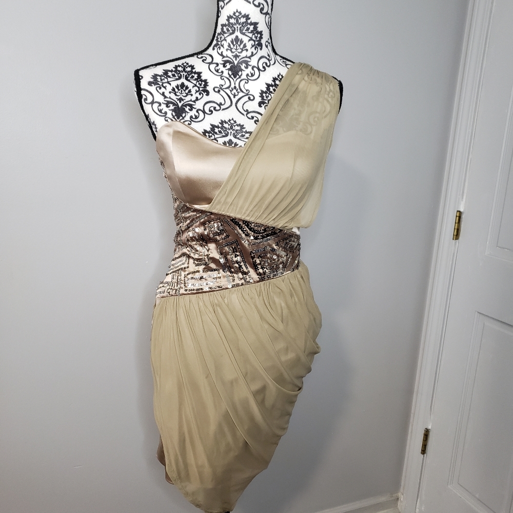 Sequins and Chiffon mini dress